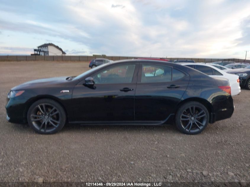 2018 Acura Tlx Elite VIN: 19UUB3F84JA800081 Lot: 12114346