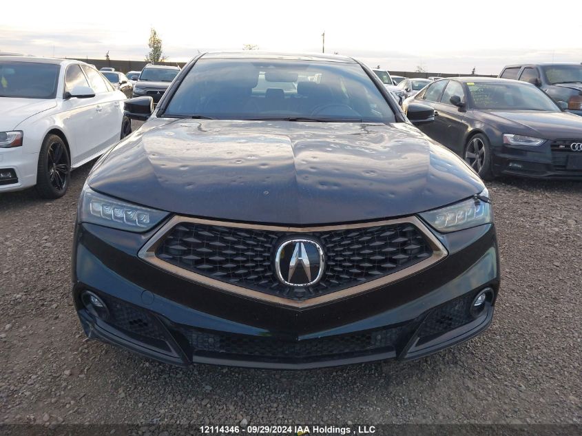 2018 Acura Tlx Elite VIN: 19UUB3F84JA800081 Lot: 12114346