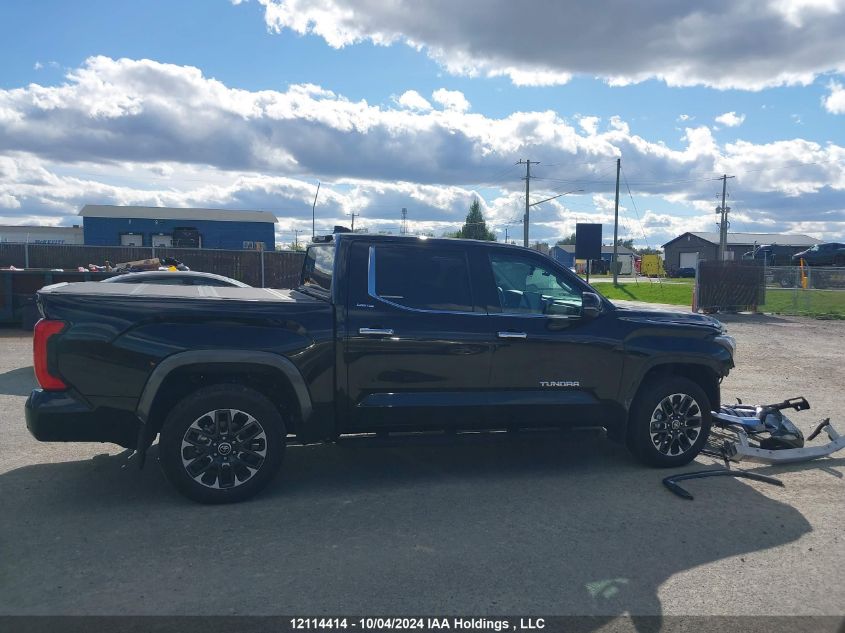 2023 Toyota Tundra VIN: 5TFJA5DB0PX093517 Lot: 12114414