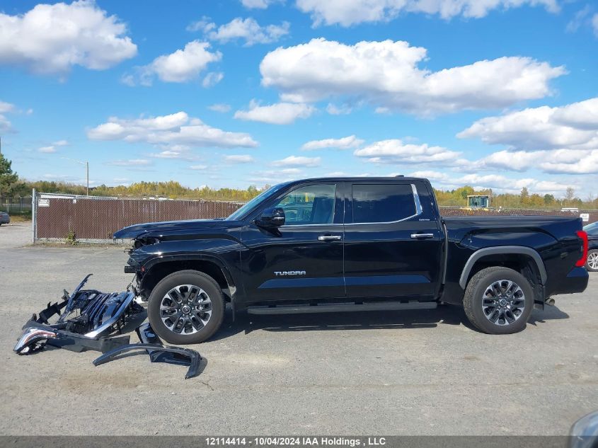 2023 Toyota Tundra VIN: 5TFJA5DB0PX093517 Lot: 12114414