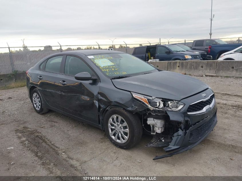 2020 Kia Forte VIN: 3KPF24AD8LE197380 Lot: 12114514