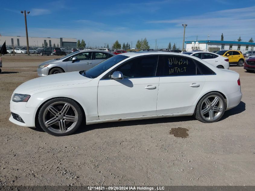 2010 Audi S4 Premium VIN: WAUHGCFL2AA174985 Lot: 12114521