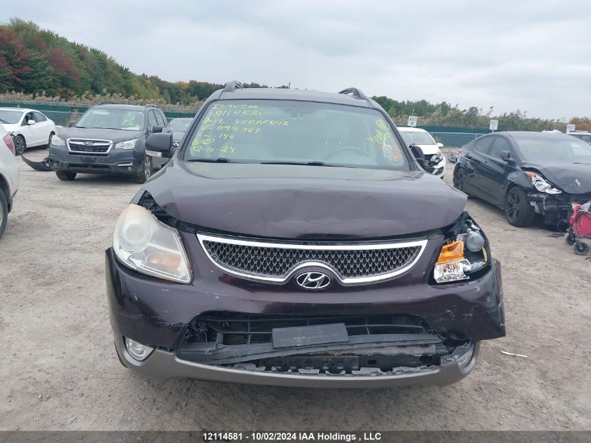 2009 Hyundai Veracruz VIN: KM8NU73C19U099387 Lot: 12114581