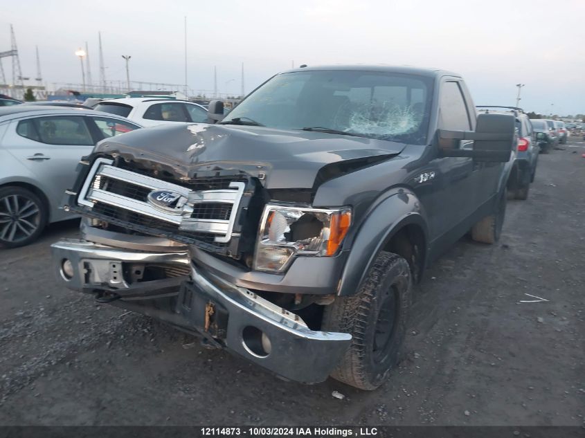 2013 Ford F150 VIN: 1FTNF1ET7DKD74600 Lot: 12114873