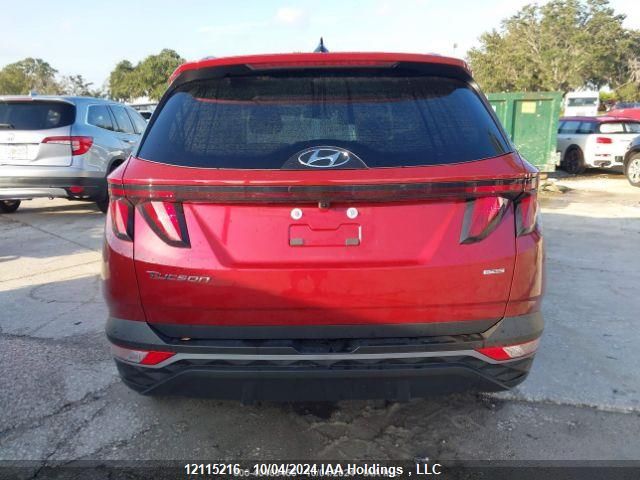 2024 Hyundai Tucson VIN: KM8JBCDE6RU351499 Lot: 12115216