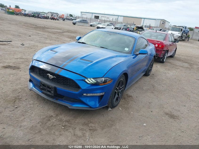 1FA6P8THXK5164373 2019 FORD MUSTANG - Image 2