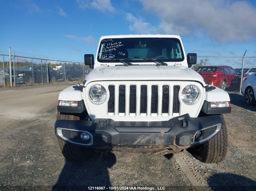 2023 Jeep Wrangler Sahara VIN: 1C4HJXEN6PW631842 Lot: 12116067