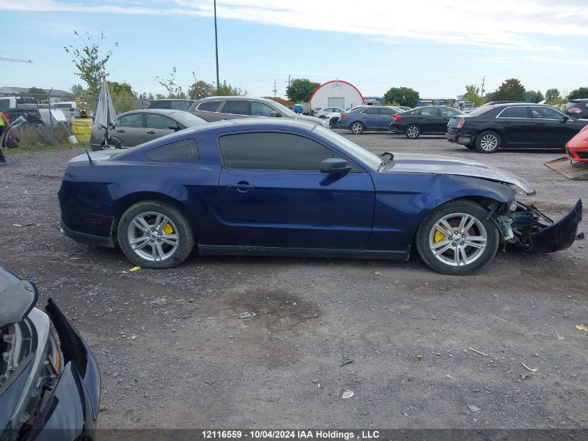 2011 Ford Mustang Value Leader VIN: 1ZVBP8AM9B5107927 Lot: 12116559