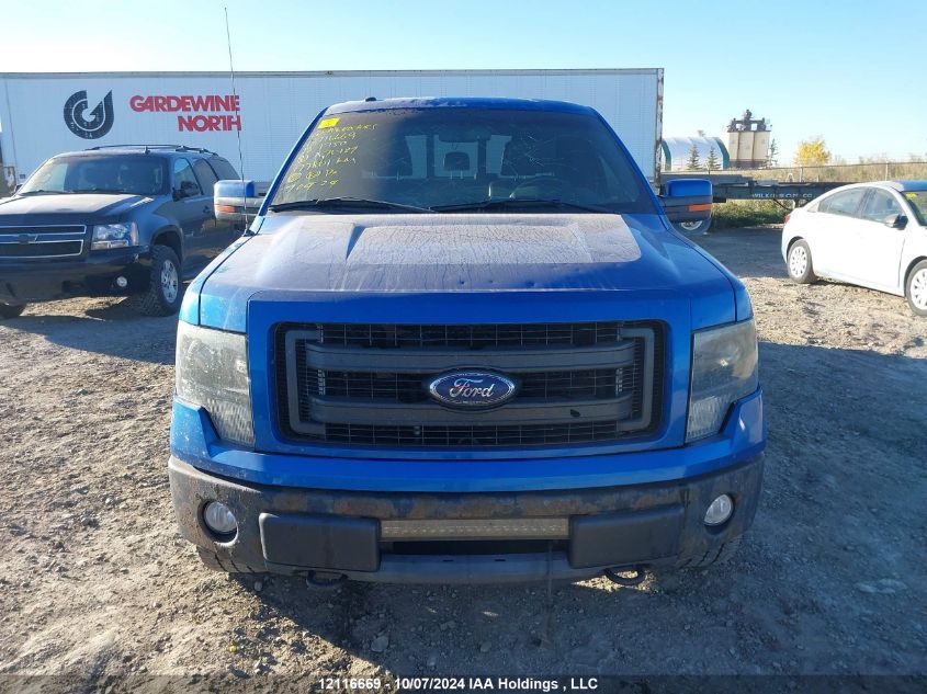 2013 Ford F150 Supercrew VIN: 1FTFW1EF5DFA76487 Lot: 12116669