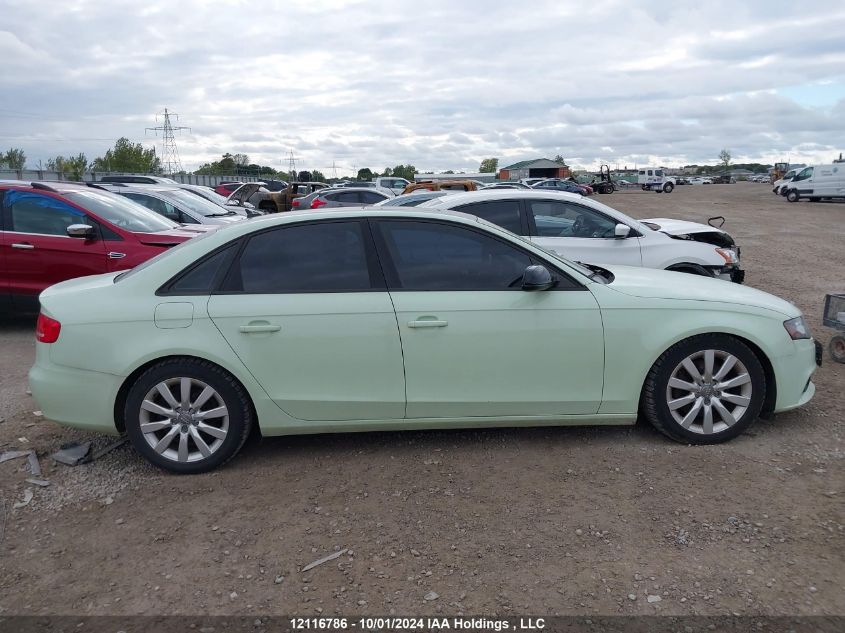 2010 Audi A4 Premium VIN: WAUDFCFL6AN006700 Lot: 12116786