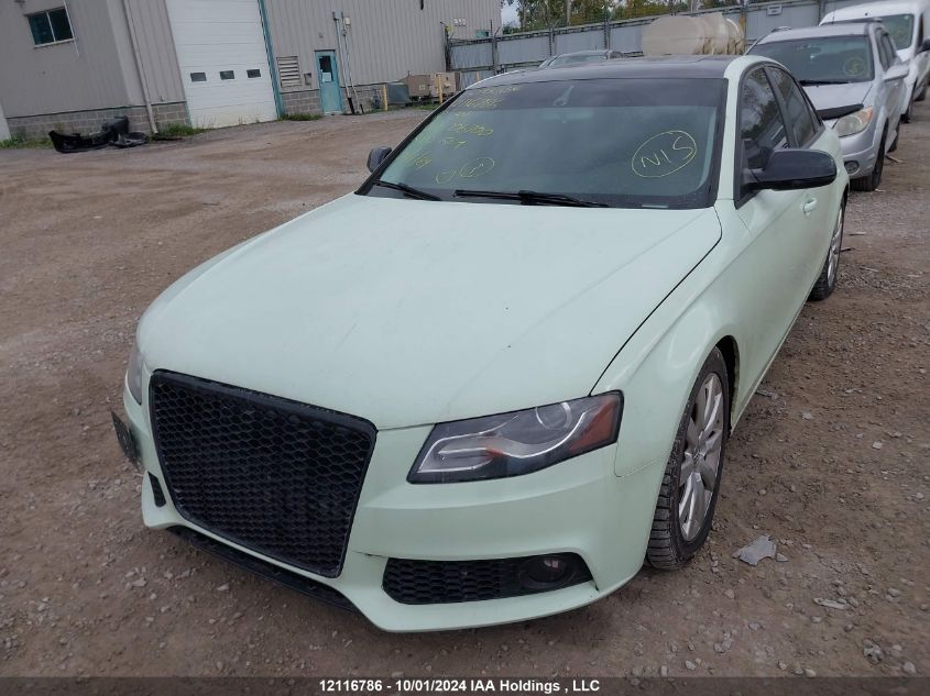 2010 Audi A4 Premium VIN: WAUDFCFL6AN006700 Lot: 12116786