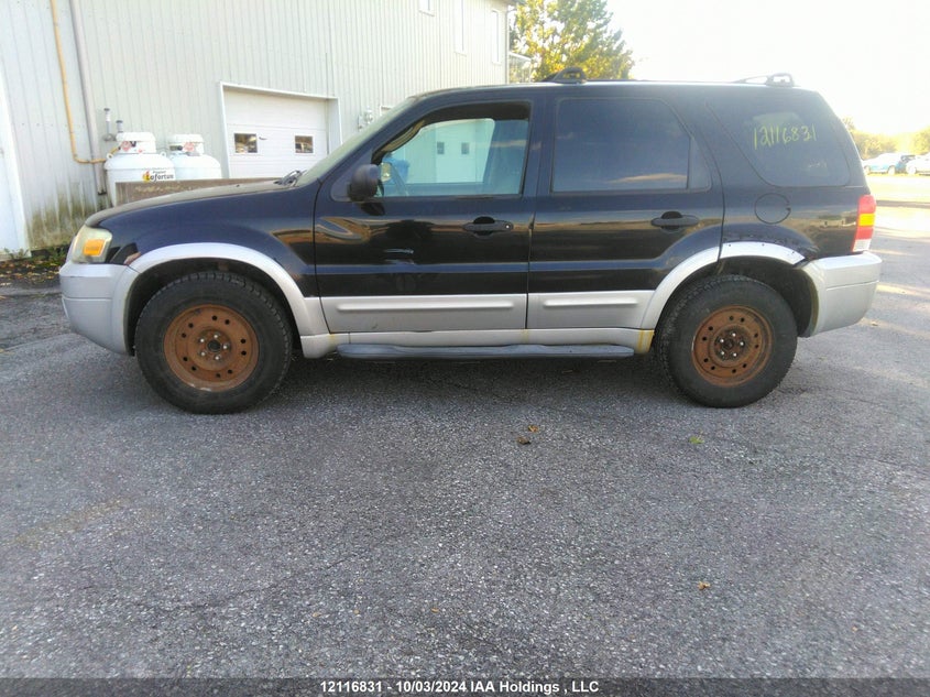 2007 Ford Escape Xlt VIN: 1FMYU93147KA68277 Lot: 12116831
