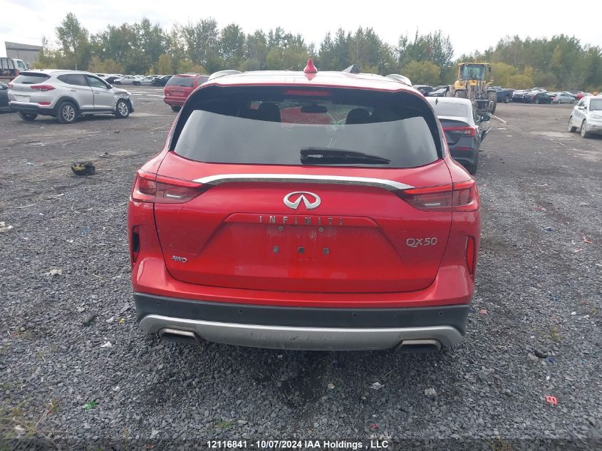 2019 Infiniti Qx50 VIN: 3PCAJ5M36KF129075 Lot: 12116841