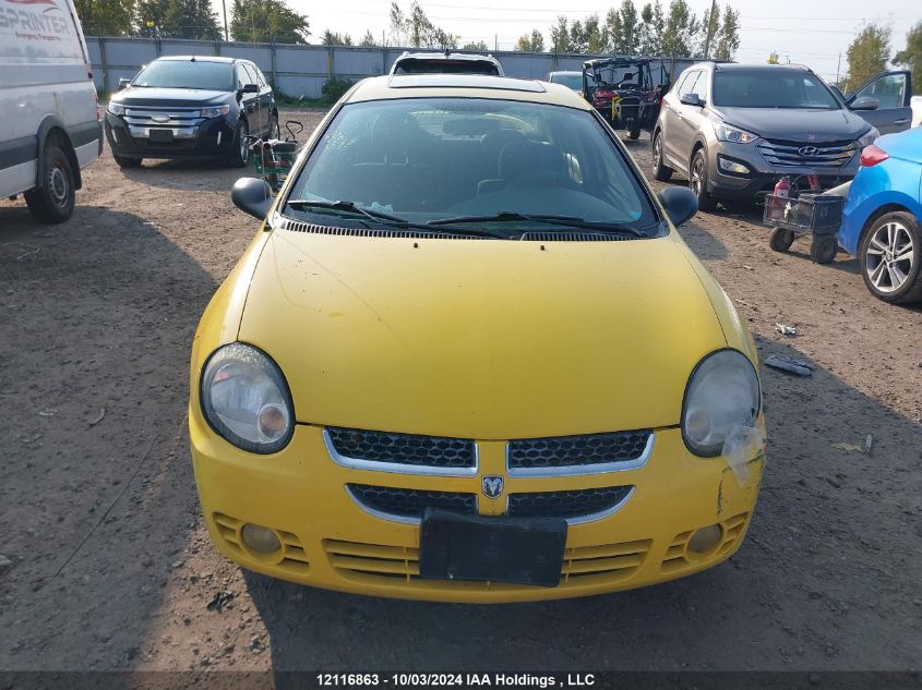 2003 Dodge Neon Sxt VIN: 1B3ES56C33D164212 Lot: 12116863