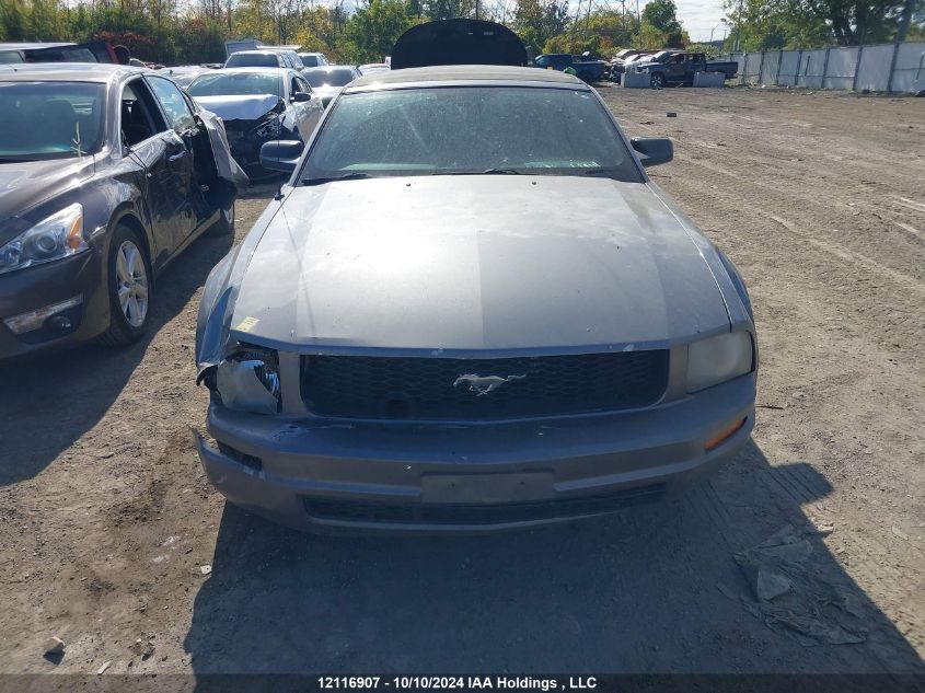 2007 Ford Mustang Convertible VIN: 1ZVFT84N675303574 Lot: 12116907