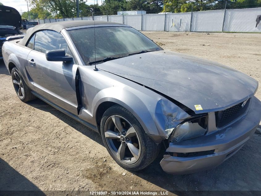 2007 Ford Mustang Convertible VIN: 1ZVFT84N675303574 Lot: 12116907