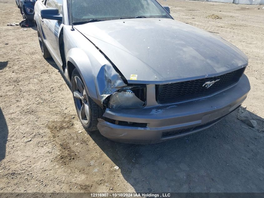 2007 Ford Mustang Convertible VIN: 1ZVFT84N675303574 Lot: 12116907