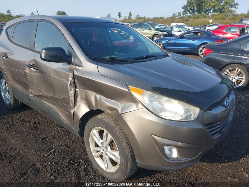 2013 Hyundai Tucson Premium VIN: KM8JTCAC8DU584910 Lot: 12117225