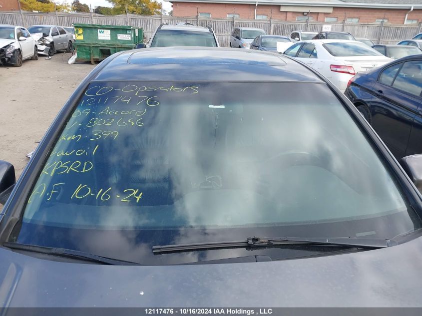 2009 Honda Accord Sedan VIN: 1HGCP26829A802656 Lot: 12117476