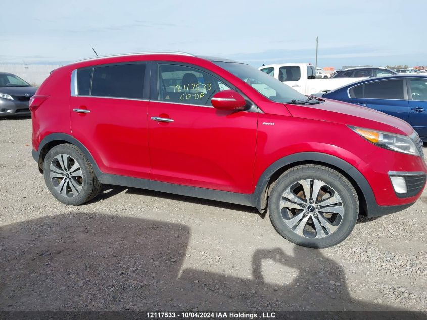 2013 Kia Sportage VIN: KNDPCCA24D7378911 Lot: 12117533