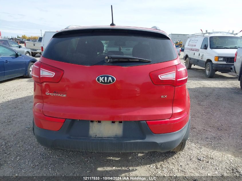 2013 Kia Sportage VIN: KNDPCCA24D7378911 Lot: 12117533