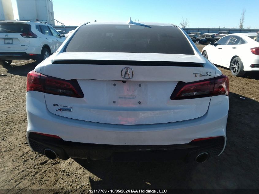 2019 Acura Tlx Technology/A-Spec VIN: 19UUB1F60KA800986 Lot: 12117789