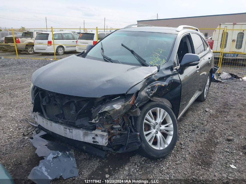 2010 Lexus Rx 450 VIN: JTJBC1BA7A2020616 Lot: 12117842