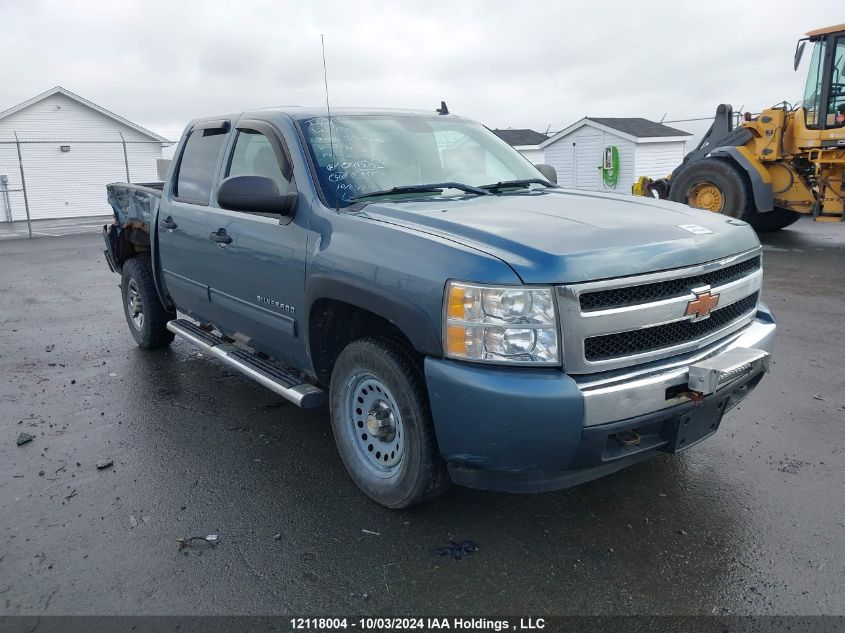 2010 Chevrolet Silverado 1500 VIN: 3GCRKREA3AG218650 Lot: 12118004