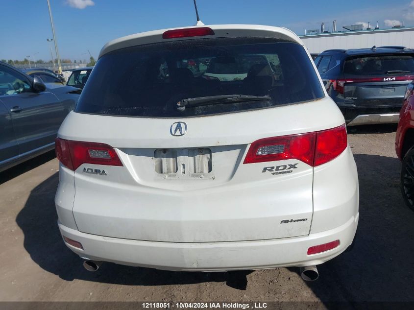 2009 Acura Rdx VIN: 5J8TB18219A800365 Lot: 12118051