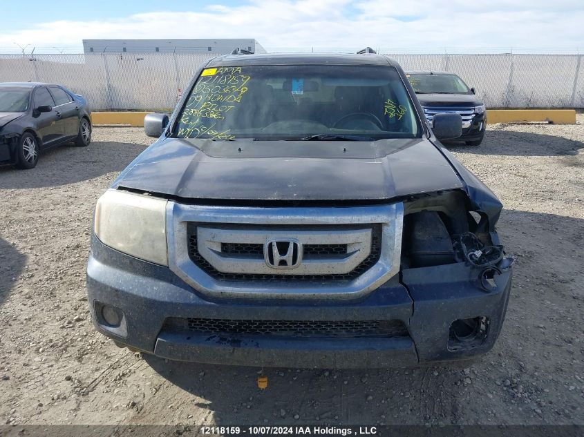 2009 Honda Pilot VIN: 5FNYF48909B503649 Lot: 12118159