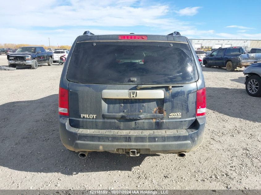 2009 Honda Pilot VIN: 5FNYF48909B503649 Lot: 12118159