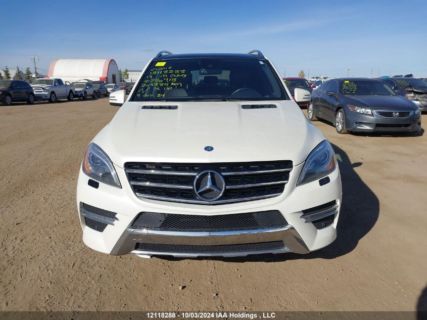 2013 Mercedes-Benz M-Class VIN: 4JGDA2EB3DA250915 Lot: 12118288