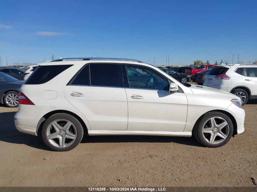 2013 Mercedes-Benz M-Class VIN: 4JGDA2EB3DA250915 Lot: 12118288