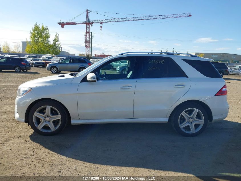 2013 Mercedes-Benz M-Class VIN: 4JGDA2EB3DA250915 Lot: 12118288