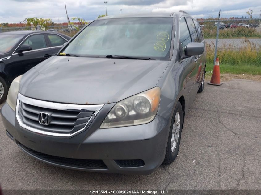 2009 Honda Odyssey Ex VIN: 5FNRL38409B505011 Lot: 12118561