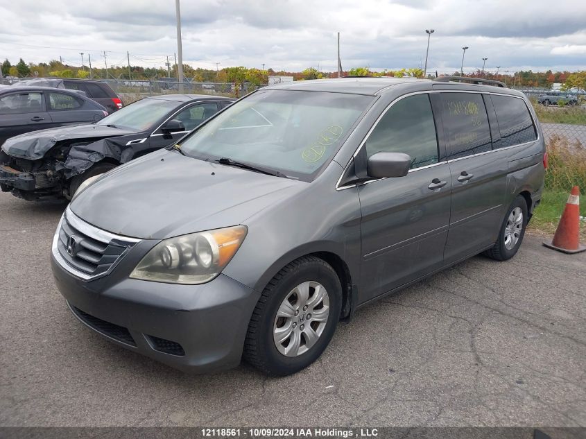 2009 Honda Odyssey Ex VIN: 5FNRL38409B505011 Lot: 12118561