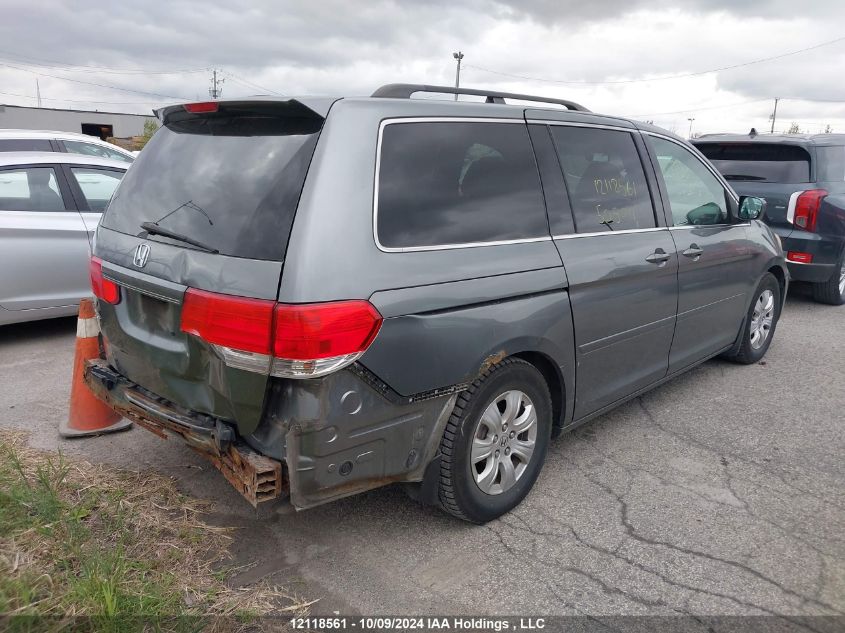 2009 Honda Odyssey Ex VIN: 5FNRL38409B505011 Lot: 12118561