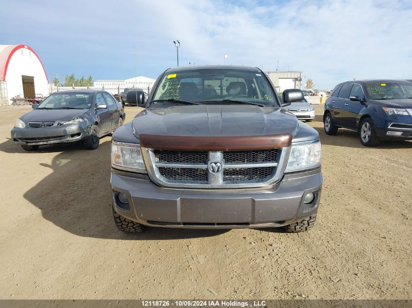 2008 Dodge Dakota Quad Slt VIN: 1D7HW48N48S527196 Lot: 12118726