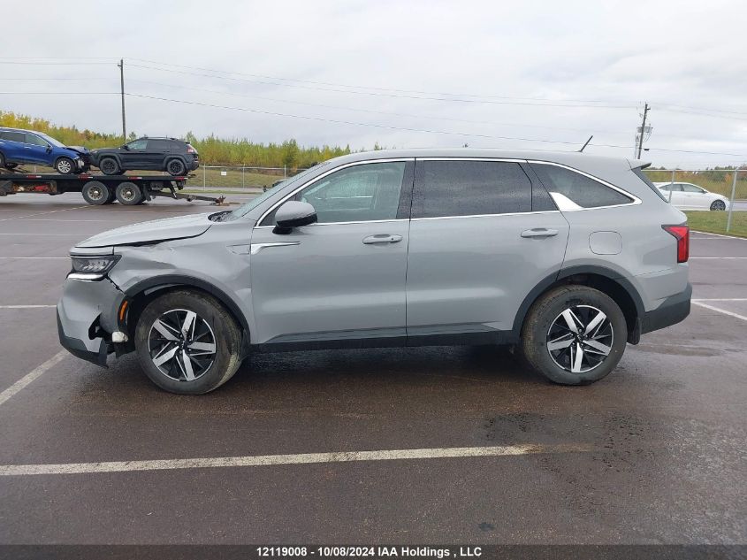 2023 Kia Sorento VIN: 5XYRGDLC7PG216657 Lot: 12119008