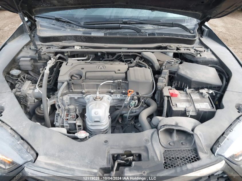 2019 Acura Tlx VIN: 19UUB1F69KA800680 Lot: 12119028