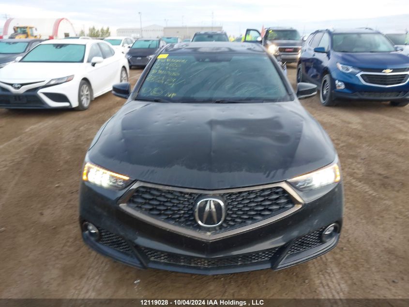 2019 Acura Tlx VIN: 19UUB1F69KA800680 Lot: 12119028