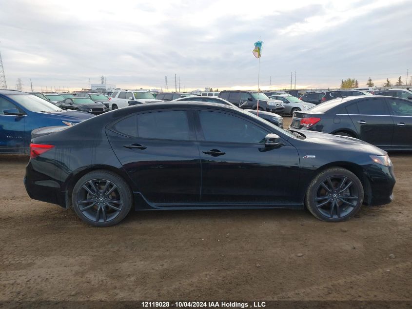 2019 Acura Tlx VIN: 19UUB1F69KA800680 Lot: 12119028