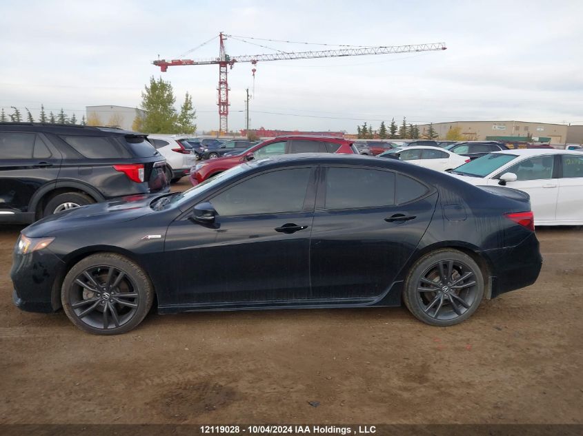 2019 Acura Tlx VIN: 19UUB1F69KA800680 Lot: 12119028