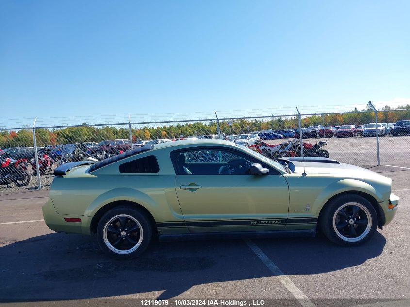 2005 Ford Mustang VIN: 1ZVFT80N655159222 Lot: 12119079