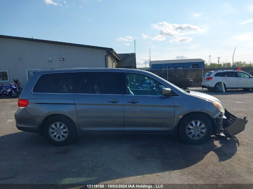 2009 Honda Odyssey VIN: 5FNRL38619B504502 Lot: 12119185