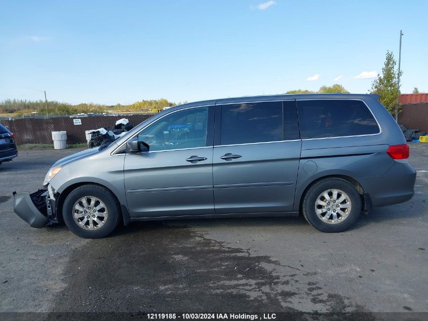 2009 Honda Odyssey VIN: 5FNRL38619B504502 Lot: 12119185