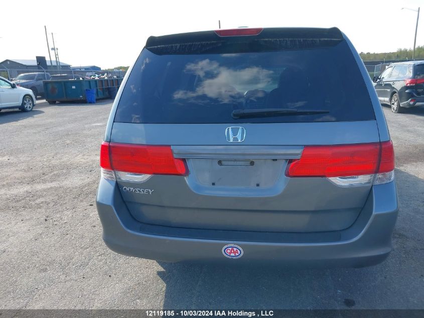 2009 Honda Odyssey VIN: 5FNRL38619B504502 Lot: 12119185