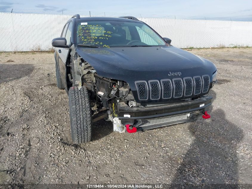 2019 Jeep Cherokee Trailhawk VIN: 1C4PJMBX3KD447575 Lot: 12119484