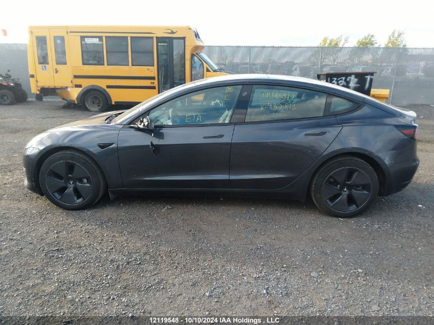 2023 Tesla Model 3 VIN: LRW3E1EB3PC932813 Lot: 12119548