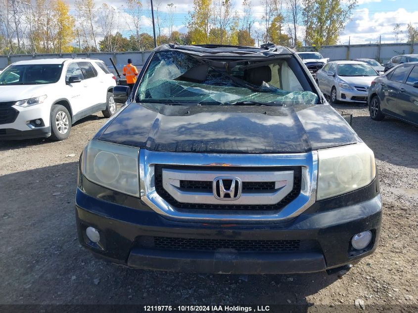 2010 Honda Pilot VIN: 5FNYF4H58AB504050 Lot: 12119775